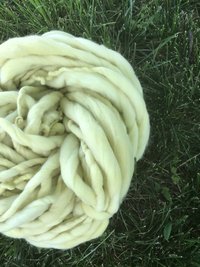 Catnip dyed merino, yellow handspun luxury yarn, 50 yards