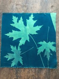 Maple Leaves - Cyanotype printed cotton fabric squares