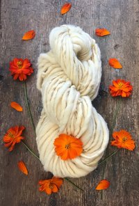 Cosmos, pastel naturally dyed handspun yarn, 50 yards