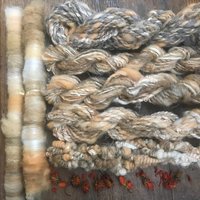 Marigold naturally dyed art rolags spinning fiber