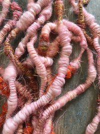 Sorbet thick n thin bulky coils, 4 yards
