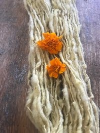 Marigold naturally dyed handspun corriedale yarn, 50 yards