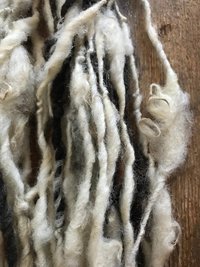Jacob wool natural handspun bulky black and white yarn, 20 yards