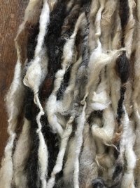 Jacob wool natural handspun bulky black and white yarn, 20 yards