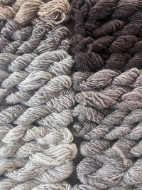 2000 yard lot handspun Shetland wool, 8 natural colors