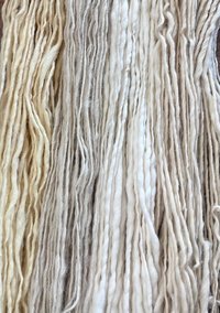 Shades of white handspun yarn set