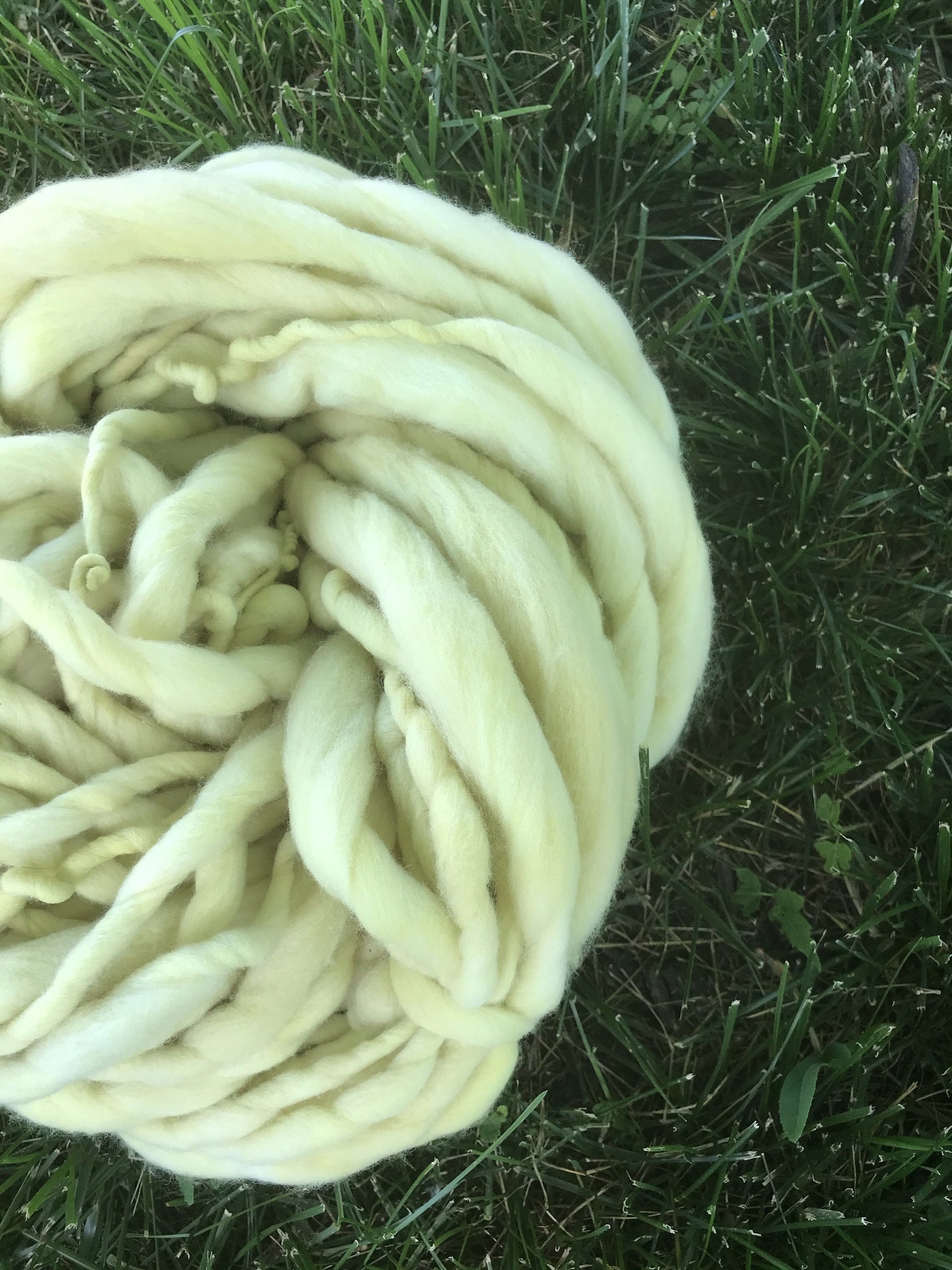 Catnip dyed merino, yellow handspun luxury yarn, 50 yards