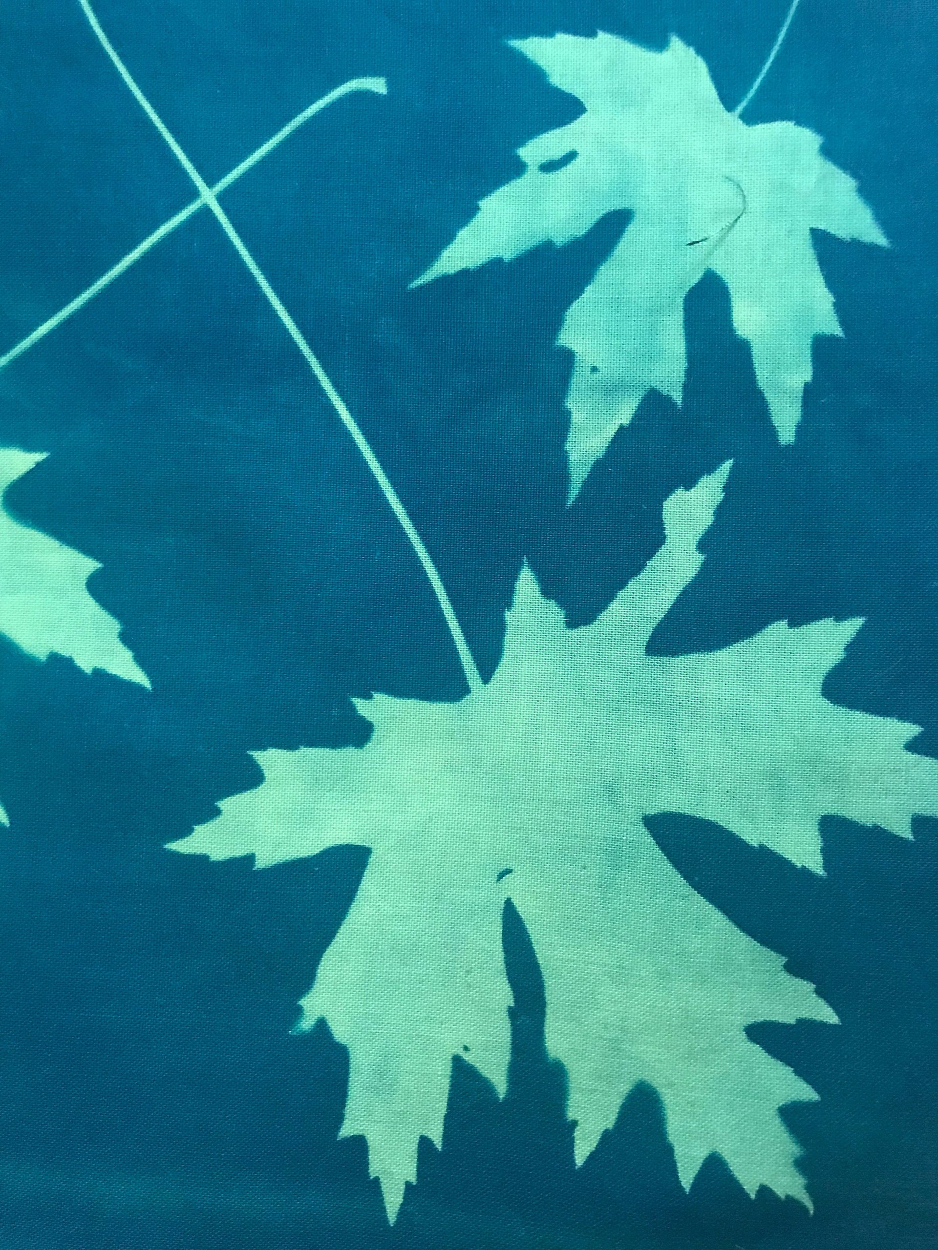 Maple Leaves - Cyanotype printed cotton fabric squares