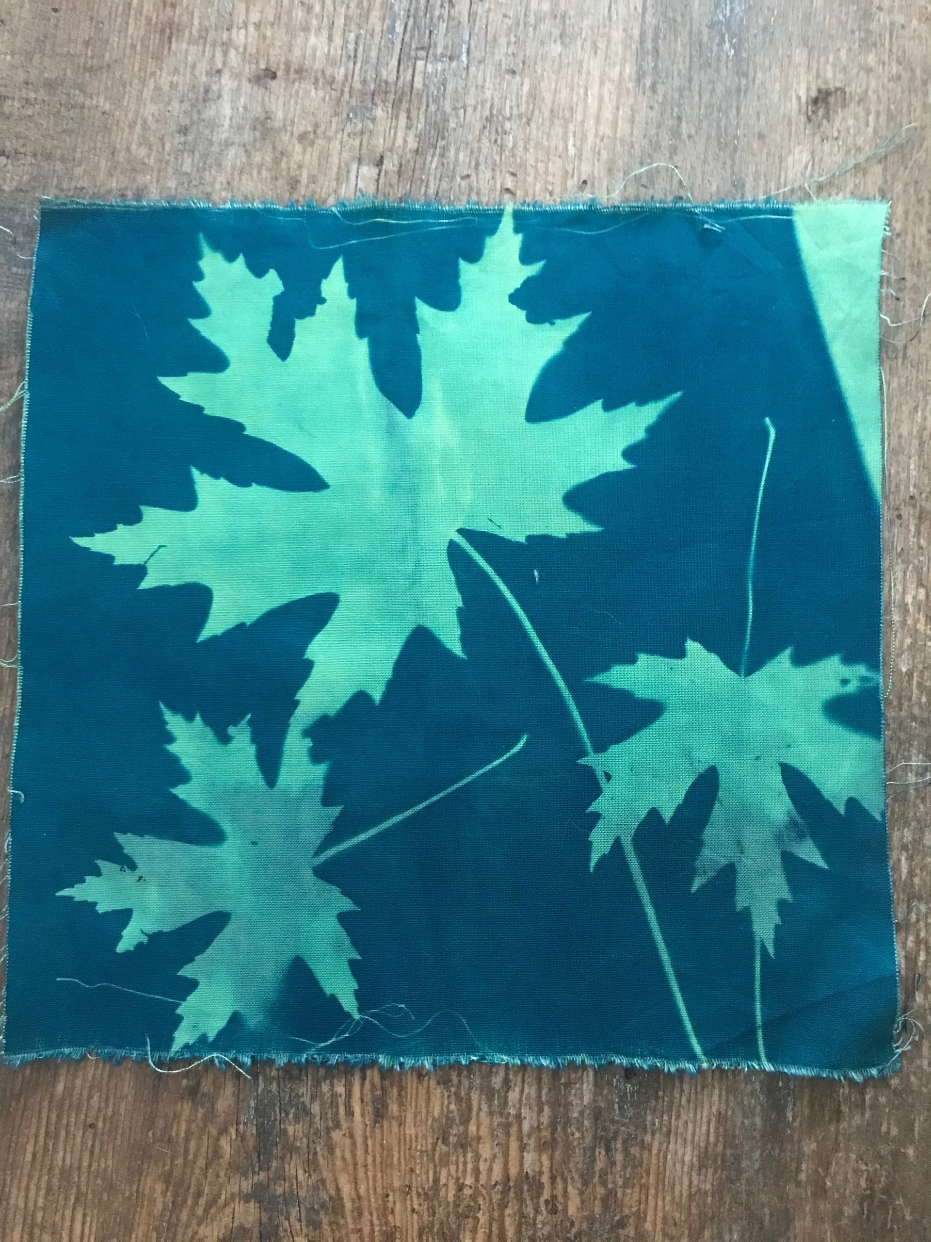 Maple Leaves - Cyanotype printed cotton fabric squares