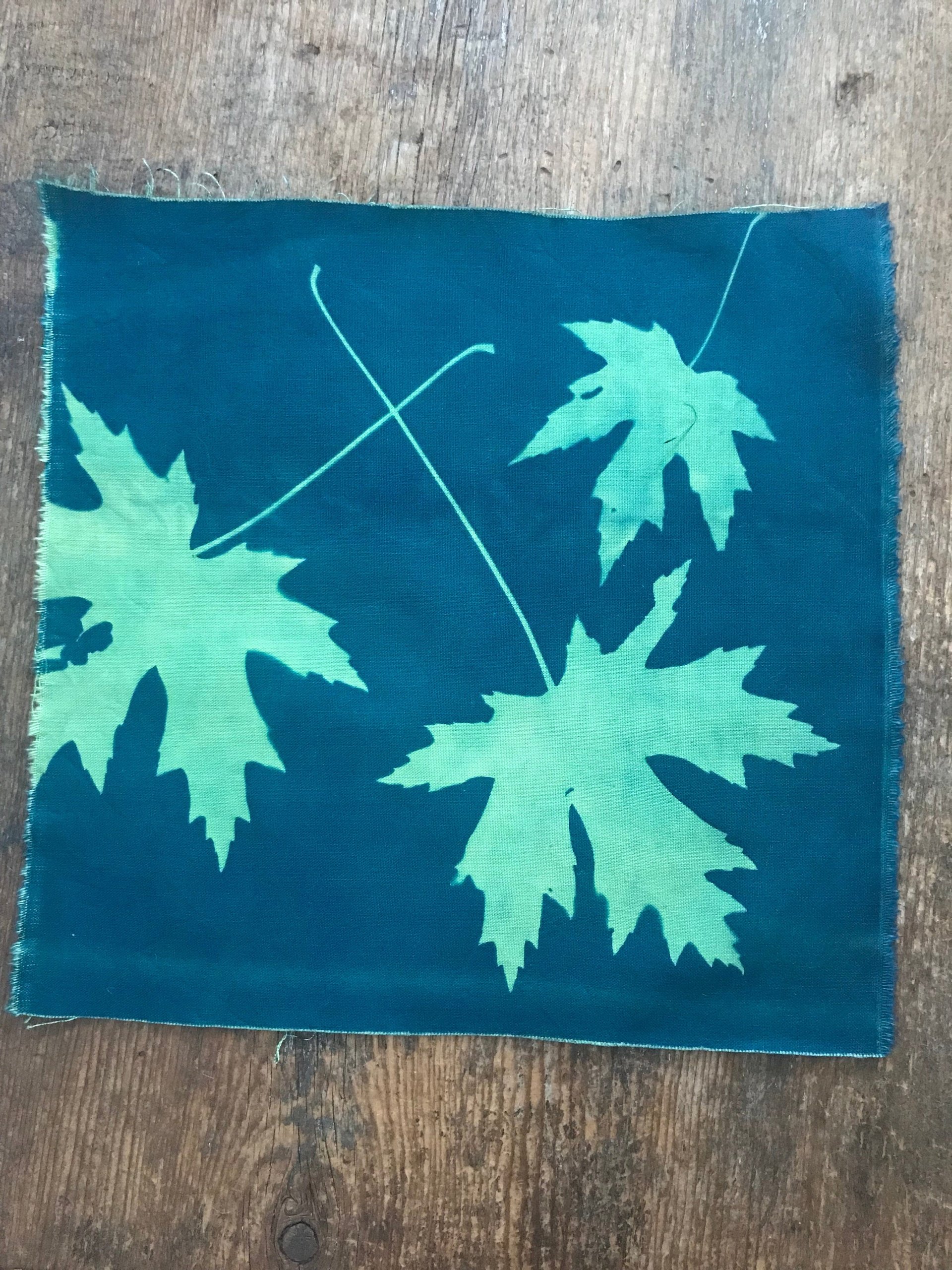 Maple Leaves - Cyanotype printed cotton fabric squares