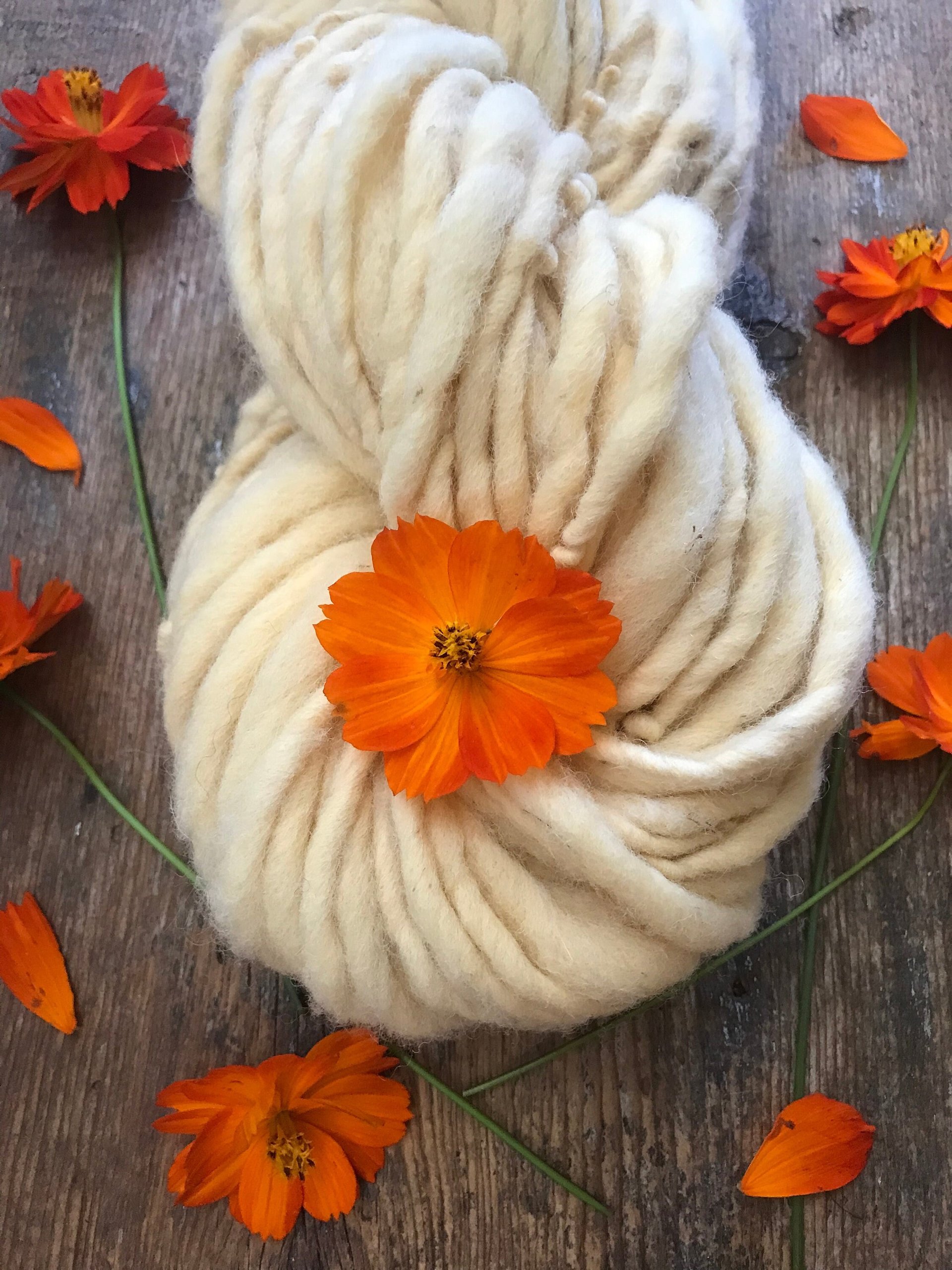 Cosmos, pastel naturally dyed handspun yarn, 50 yards