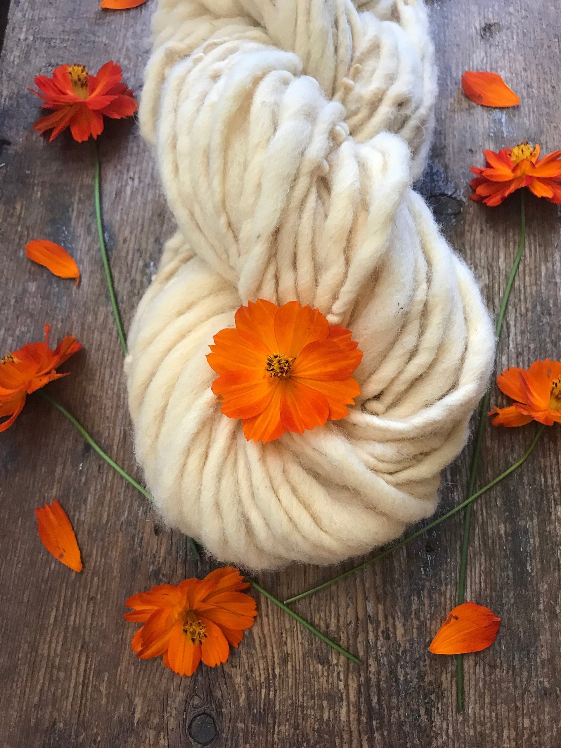 Cosmos, pastel naturally dyed handspun yarn, 50 yards