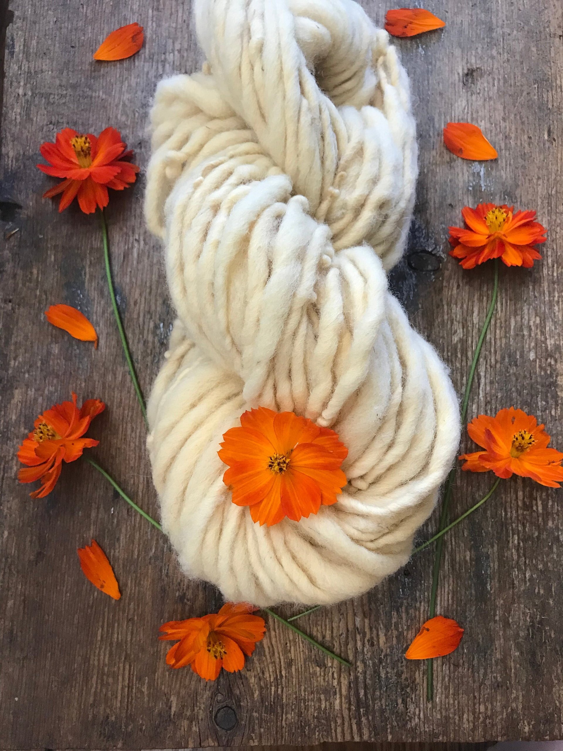 Cosmos, pastel naturally dyed handspun yarn, 50 yards
