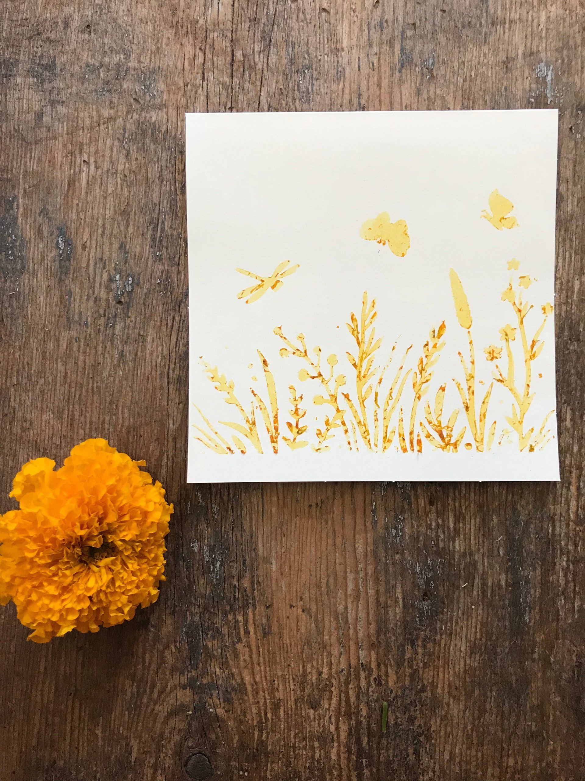 Botanically stenciled notecards, floral set