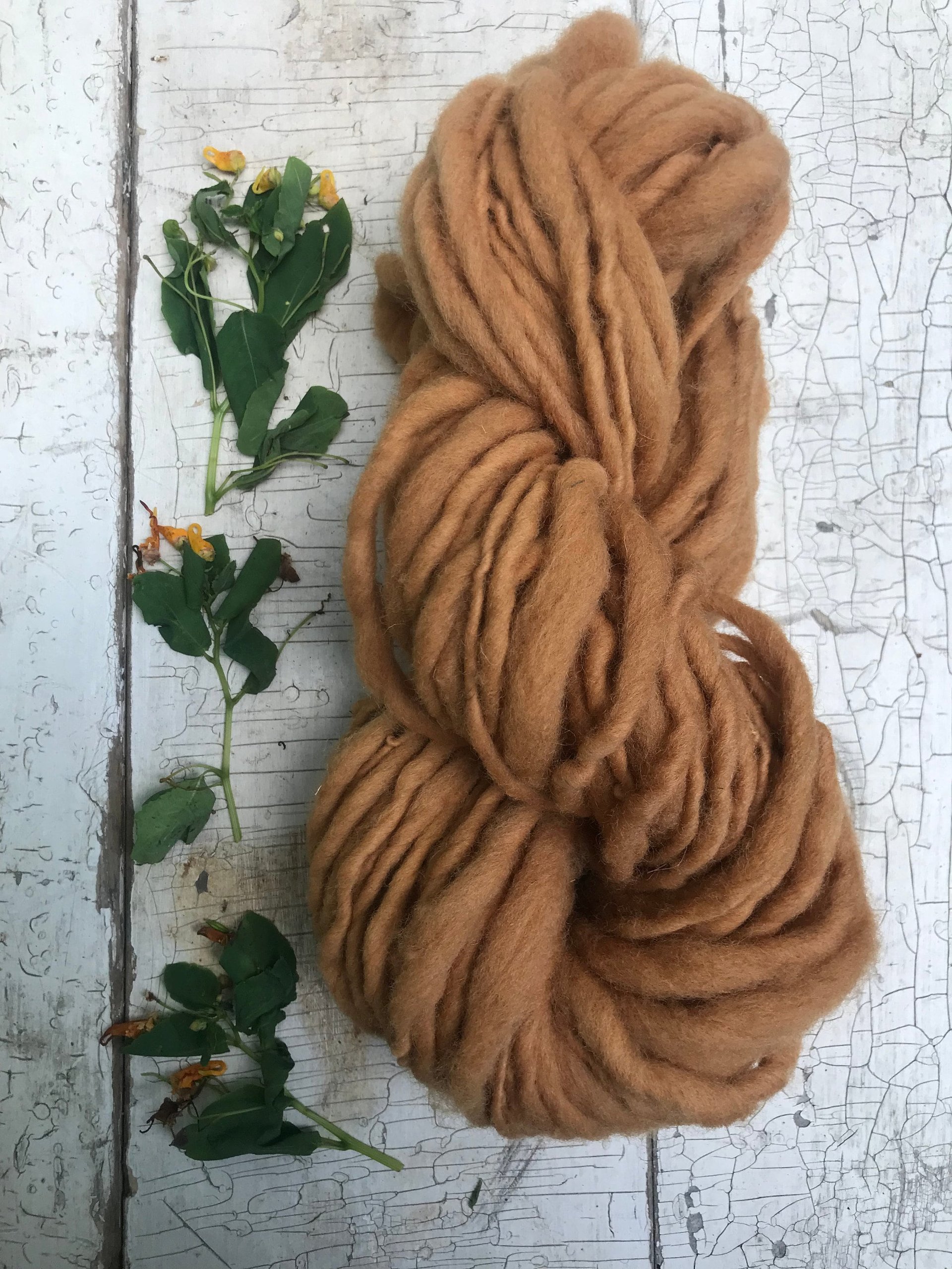 Jewelweed naturally dyed handspun yarn, 50 yards