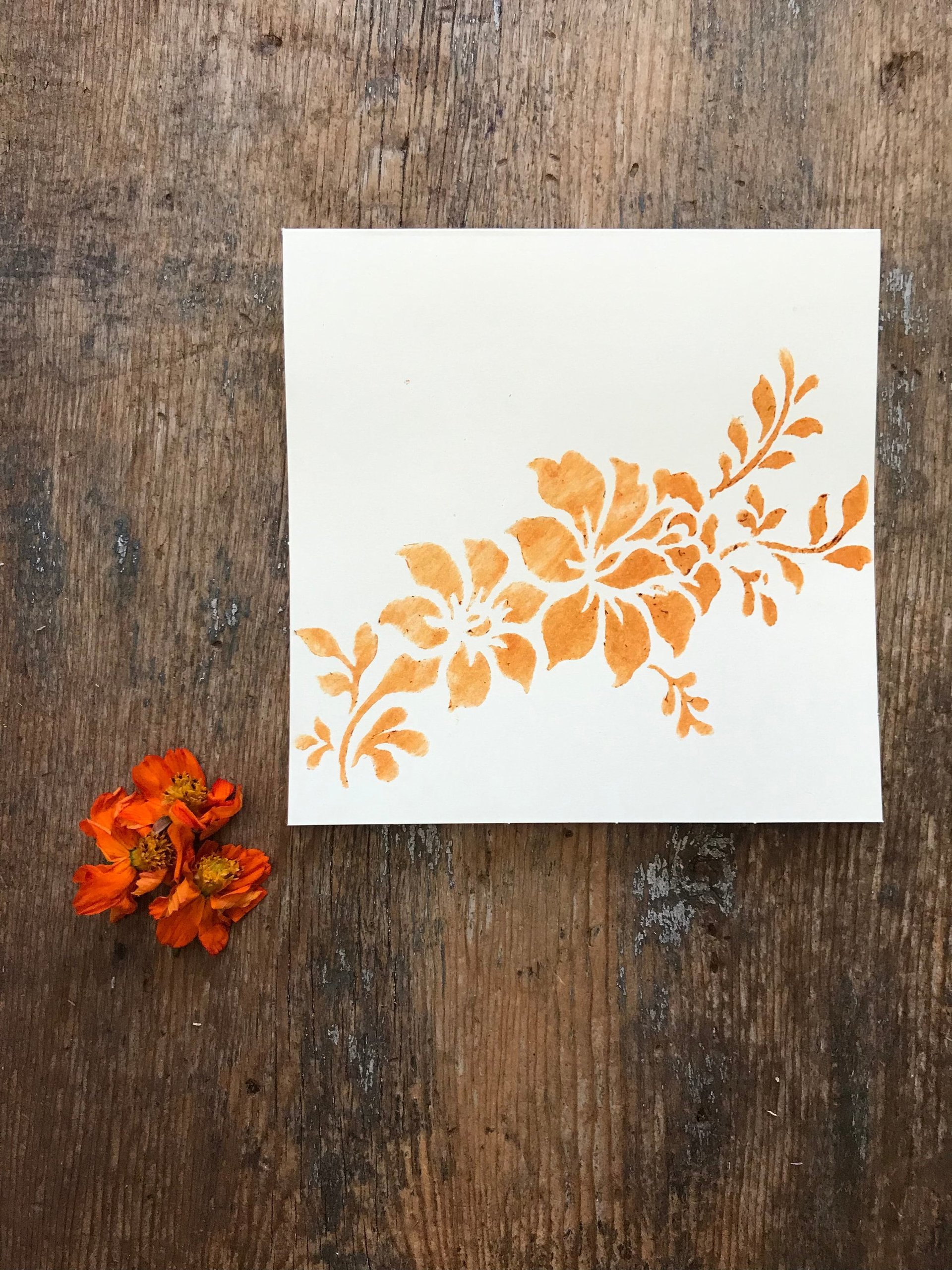 Botanically stenciled notecards, floral set