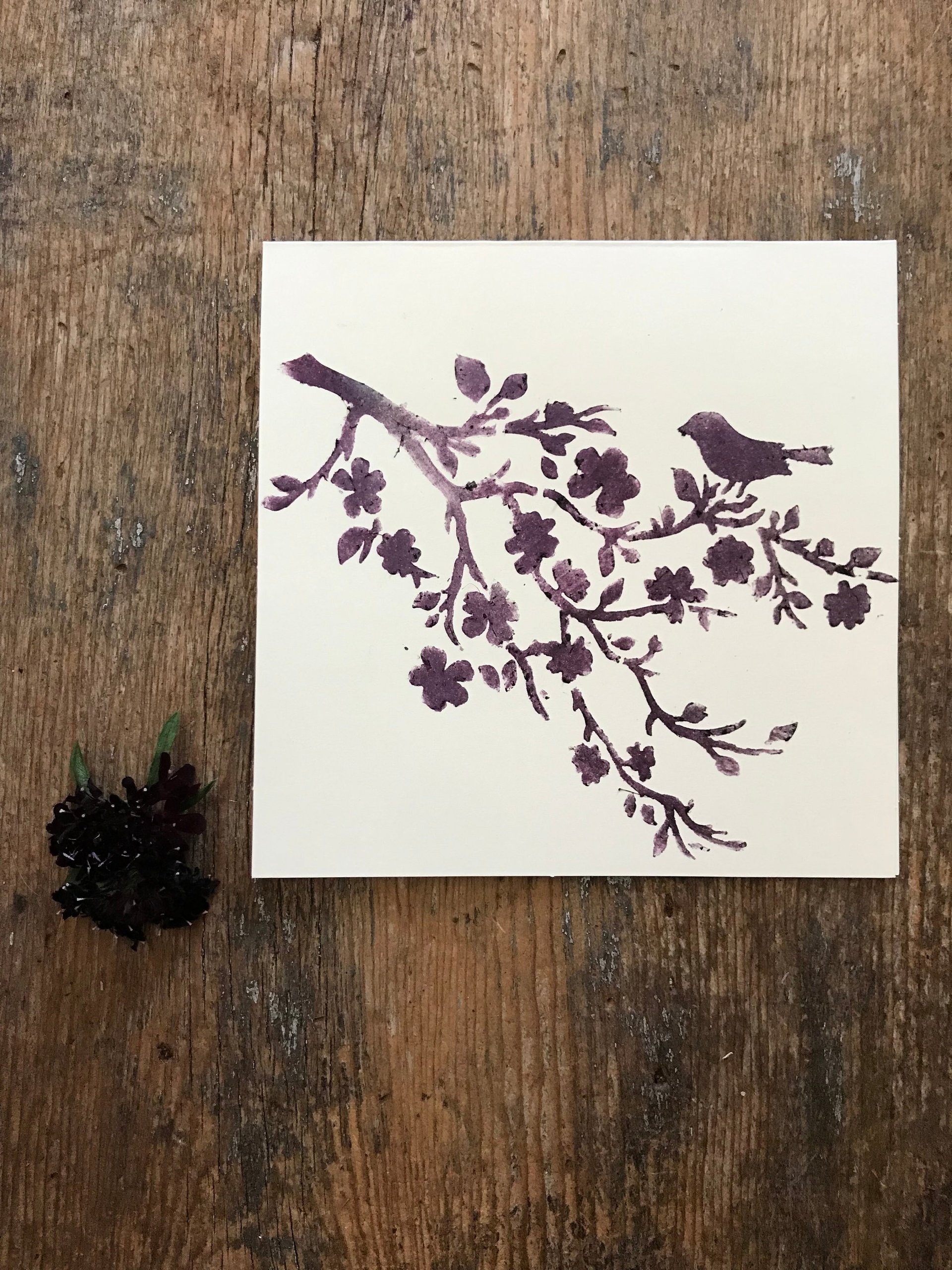 Botanically stenciled notecards, floral set