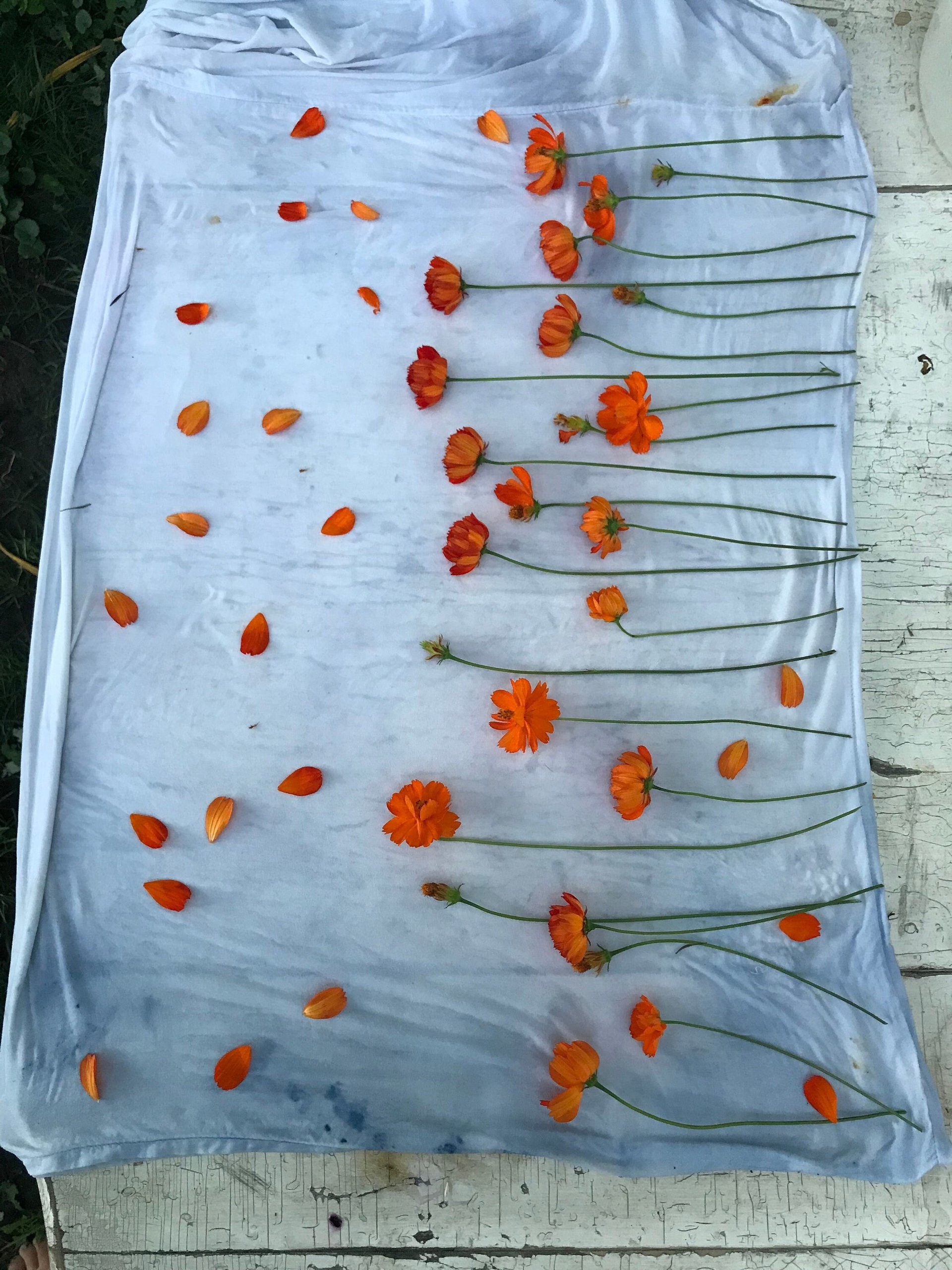 Orange Flowers naturally hand dyed silk scarf