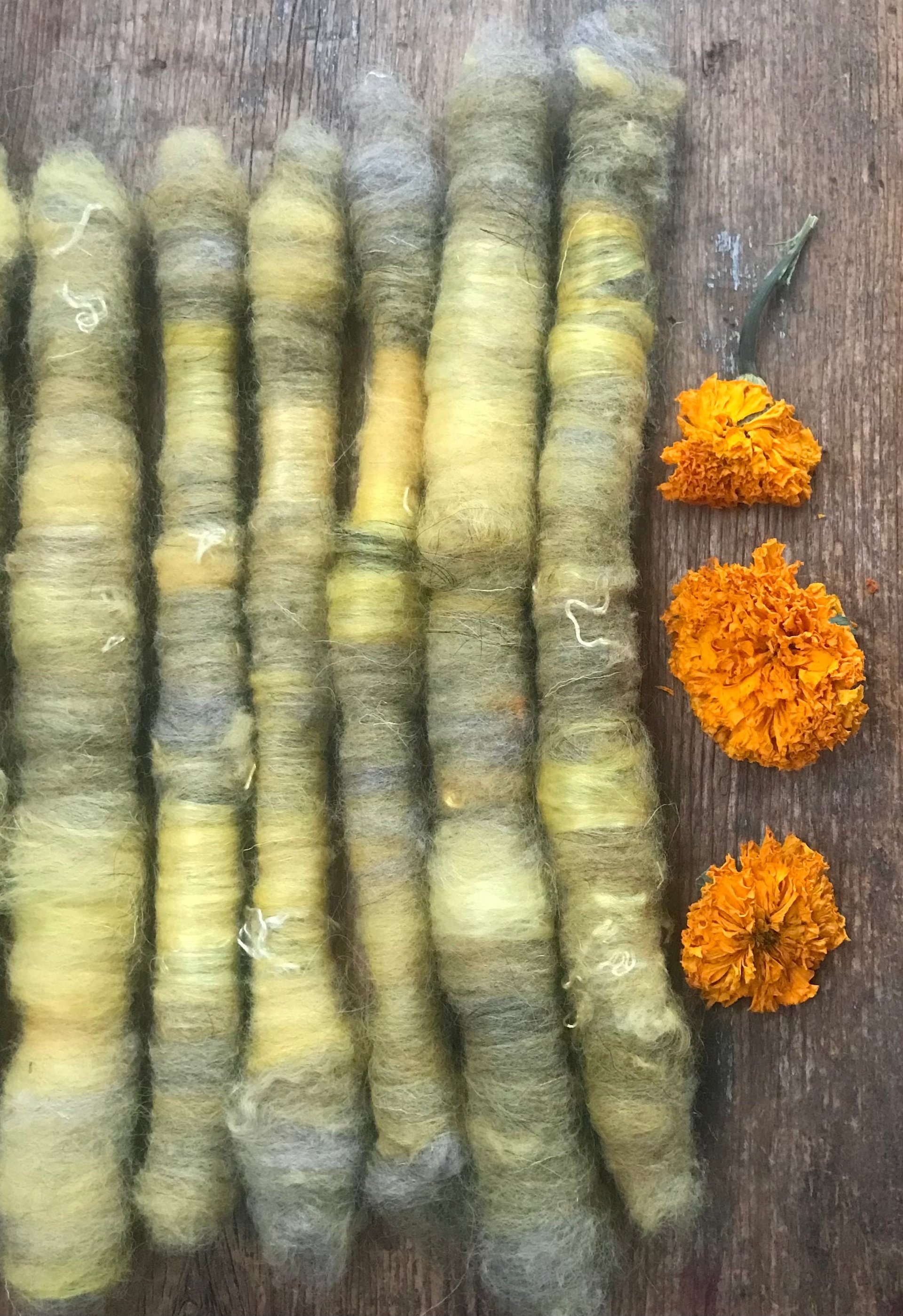 Marigold naturally dyed art rolags spinning fiber