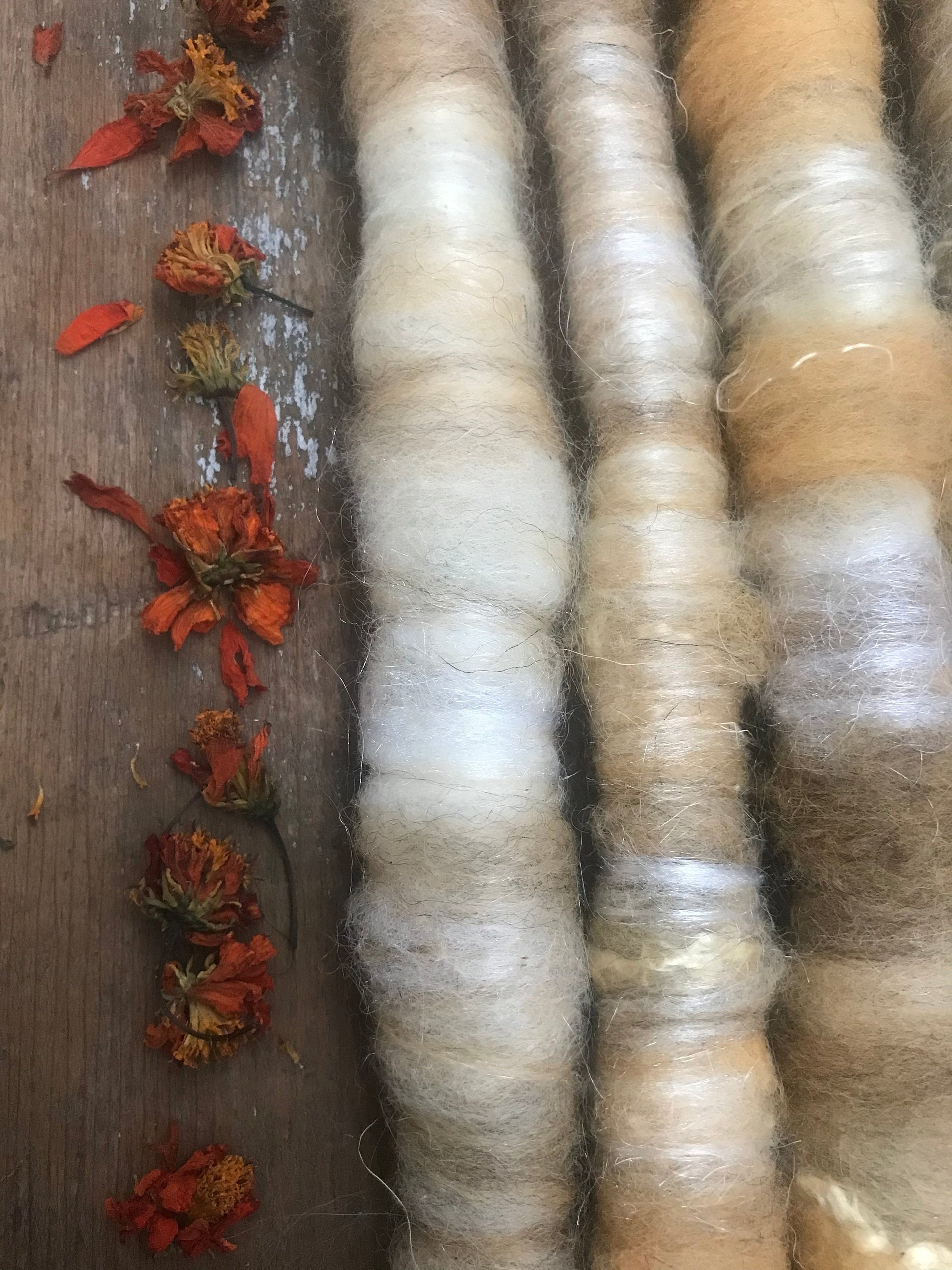 Cosmos naturally dyed art rolags spinning fiber