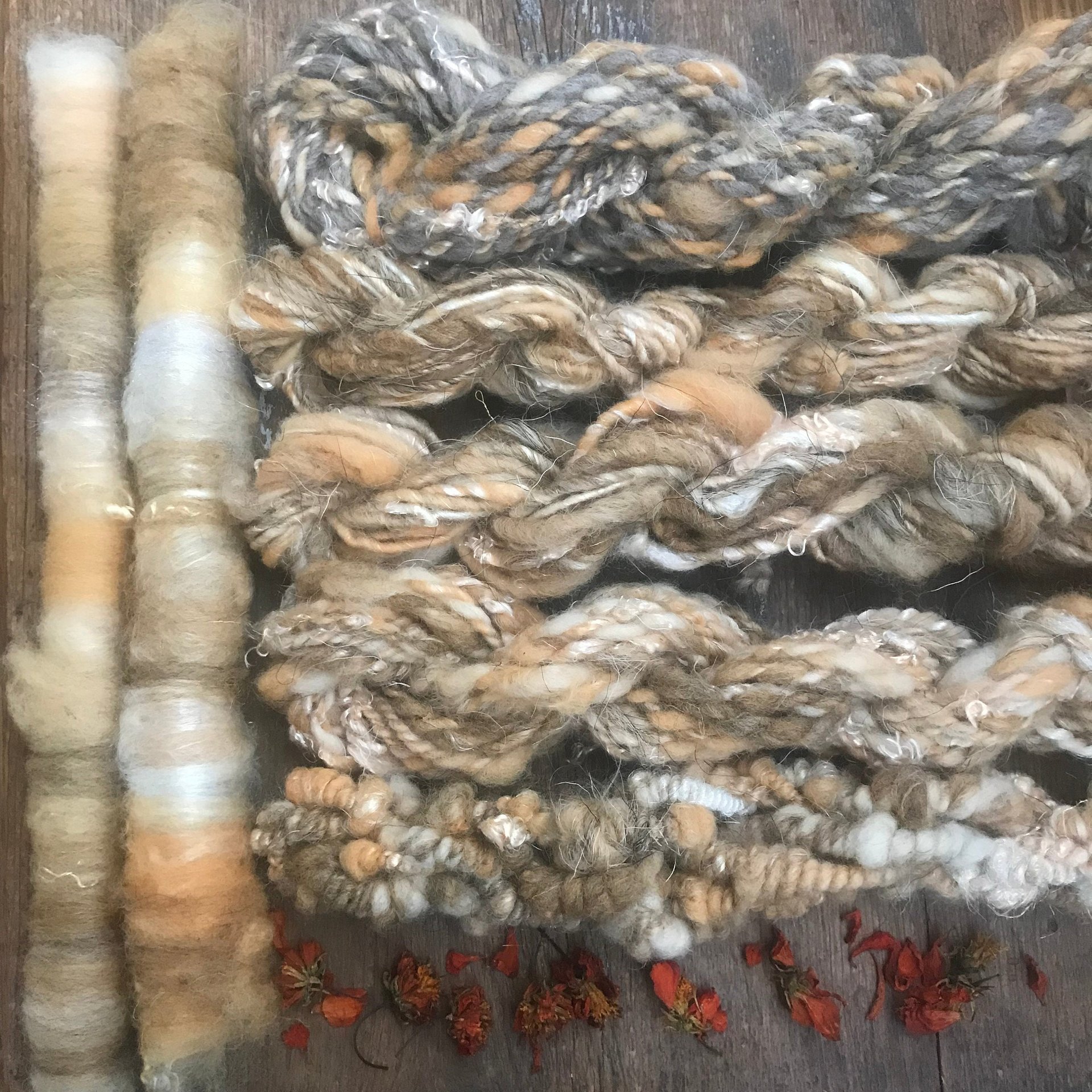 Cosmos naturally dyed art rolags spinning fiber