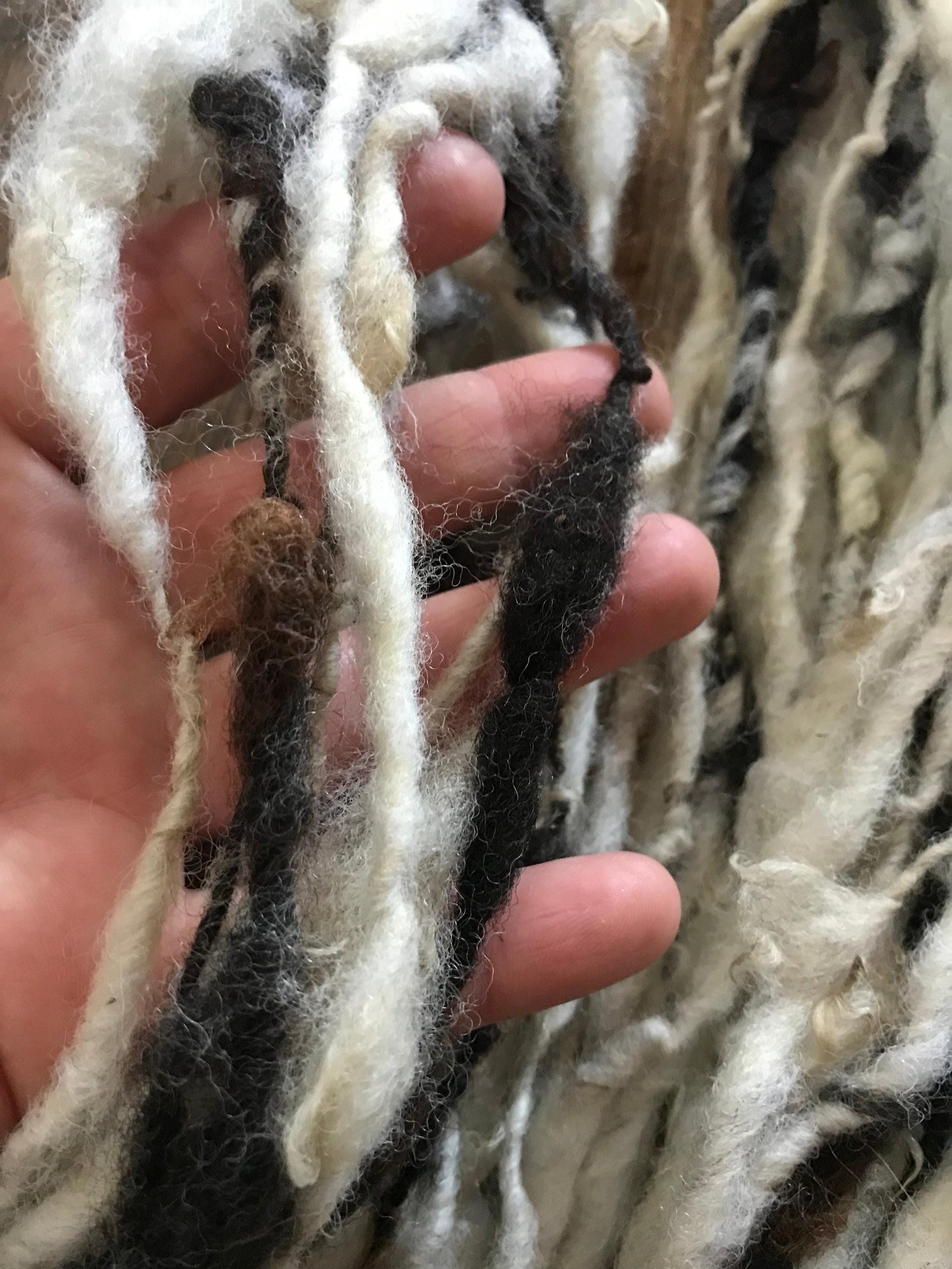 Jacob wool natural handspun bulky black and white yarn, 20 yards