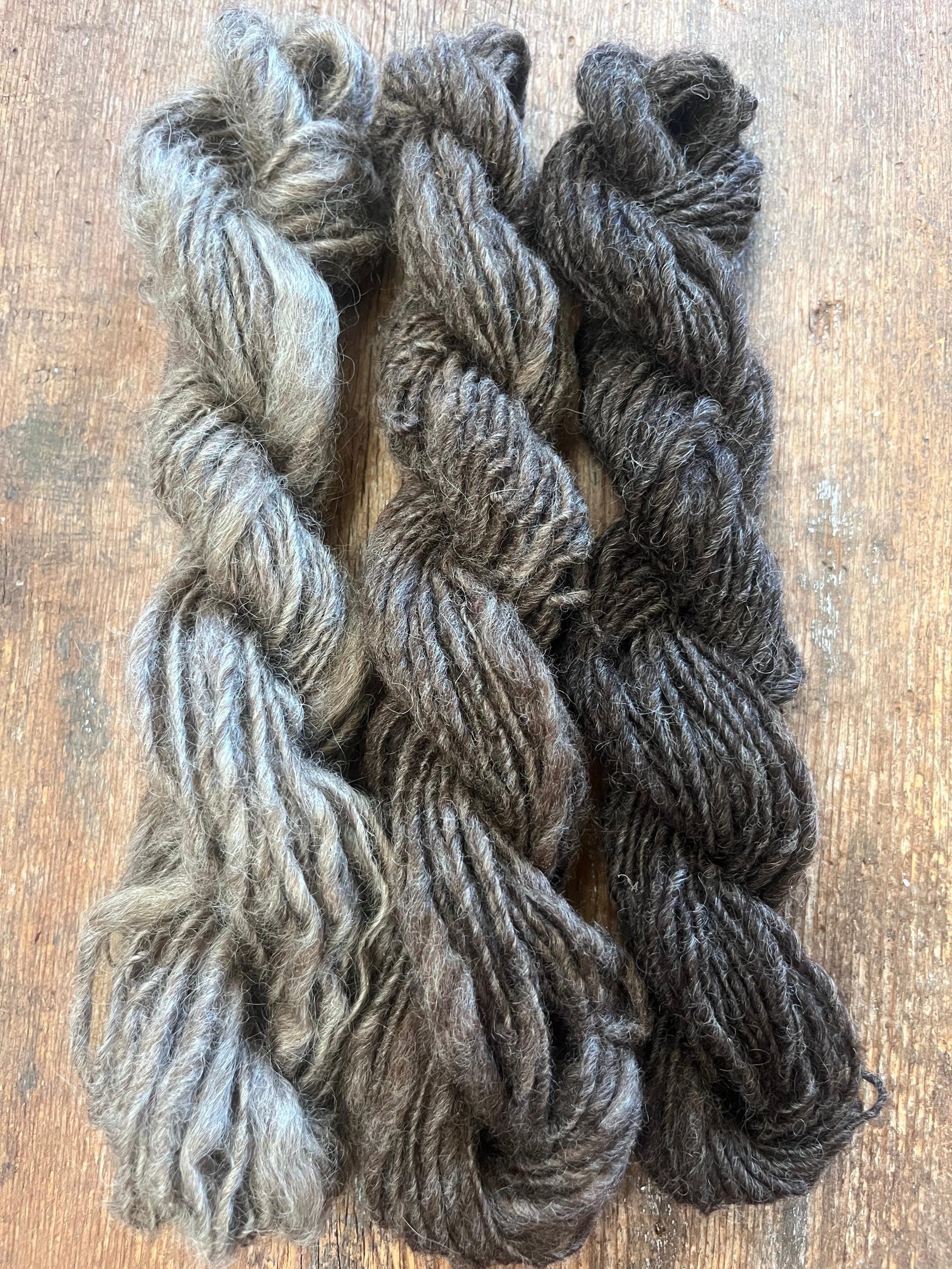 Naturally colored ombré wool yarn set, 150 yards light bulky weight handspun