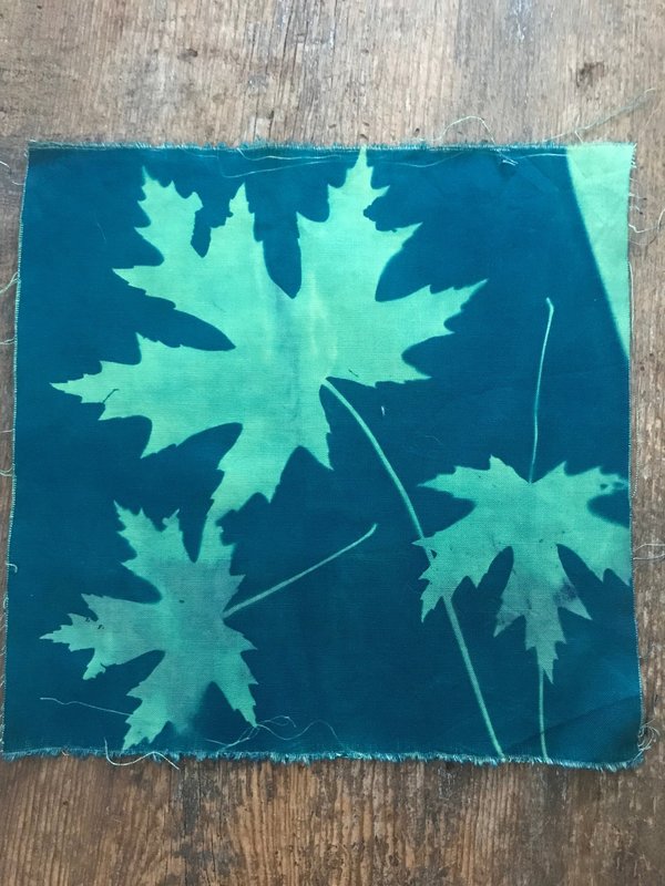 Maple Leaves - Cyanotype printed cotton fabric squares