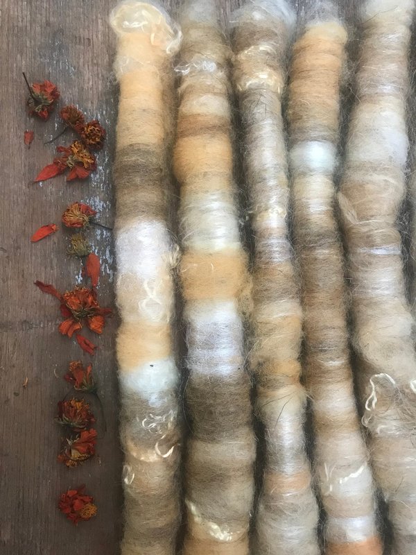 Cosmos naturally dyed art rolags spinning fiber