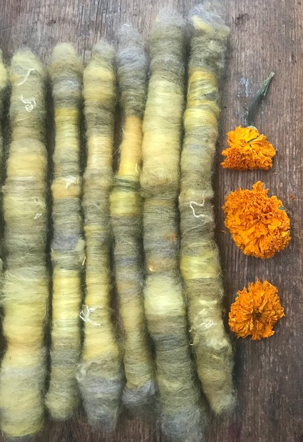 Marigold naturally dyed art rolags spinning fiber